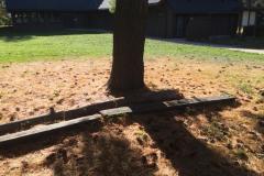 1-its-here-somewhere